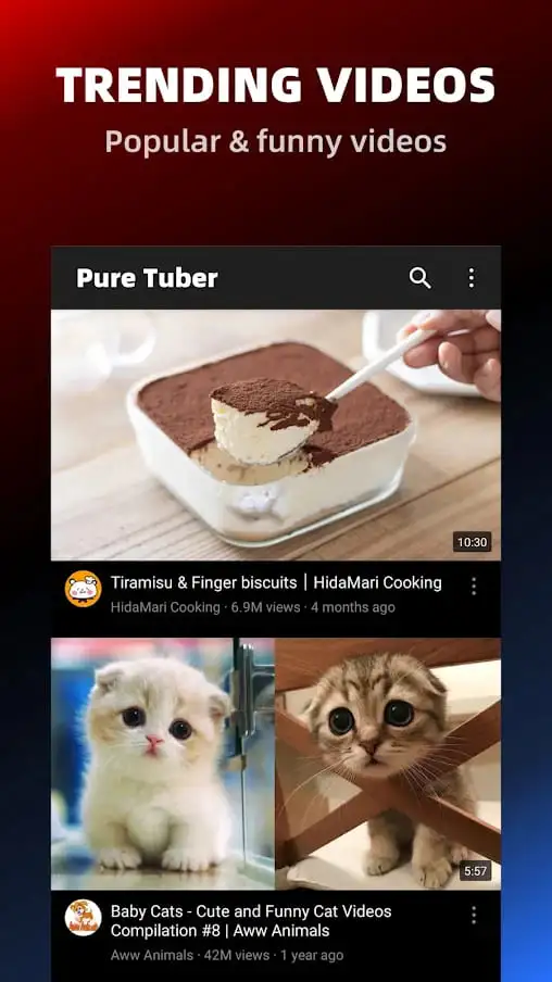 Pure Tuber Block Ads On Video Mod Apk (1)