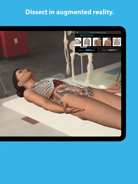 Human Anatomy Atlas 2023 Mod Apk (2)